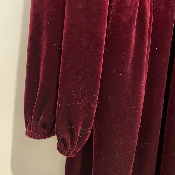 Anthropologie - AMADI Burgundy/Maroon Dress - Picture 3 of 6